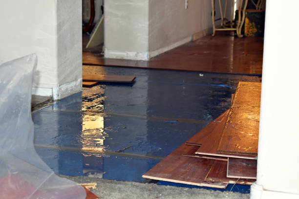 Professional Burst Pipe Cleanup technician working in Diamond, OH